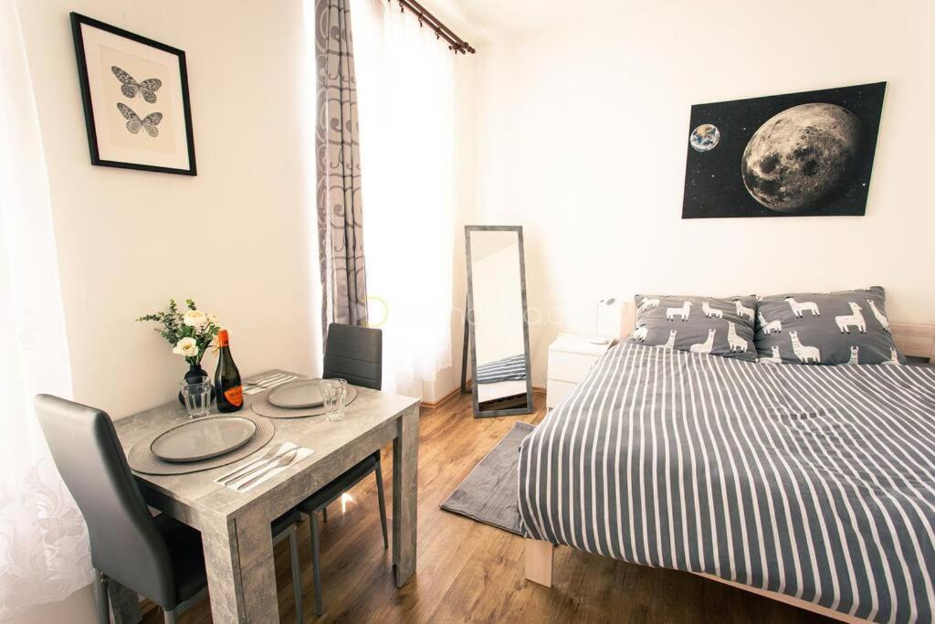 Komfortni 2luzkovy V Centru Plzne Apartment *