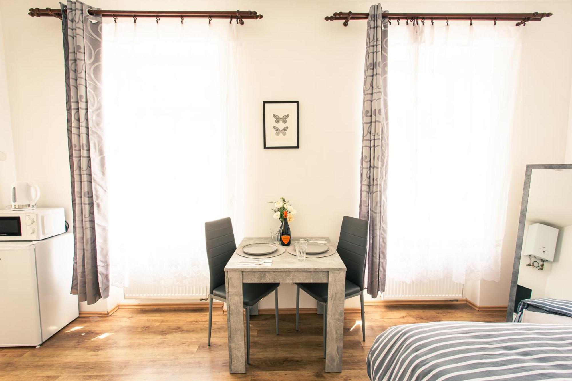 Apartment Komfortni 2luzkovy V Centru Plzne Plzen